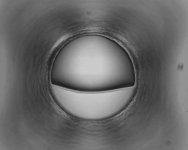 X0000095541450200712141013