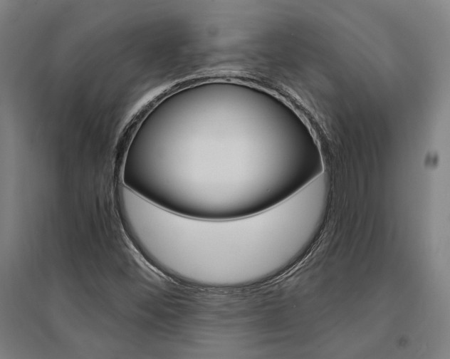 X0000095541452200712141013