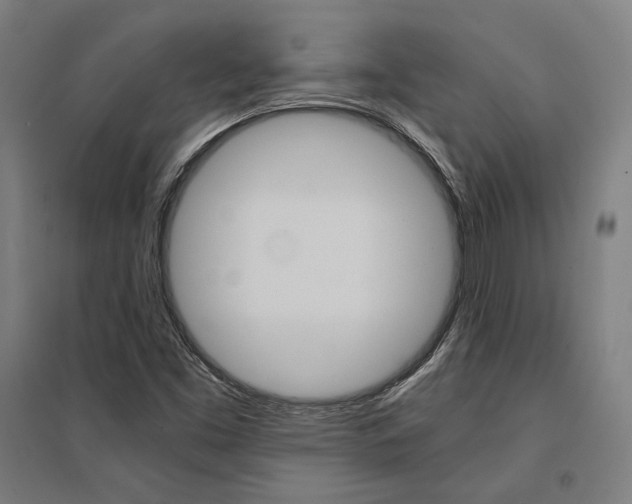 X0000095541453200712141013