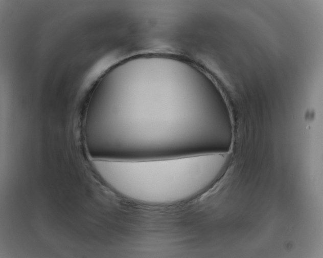 X0000095541455200712141013