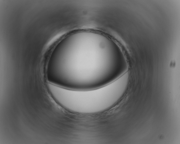 X0000095541456200712141013