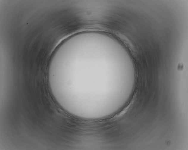 X0000095541457200712141013