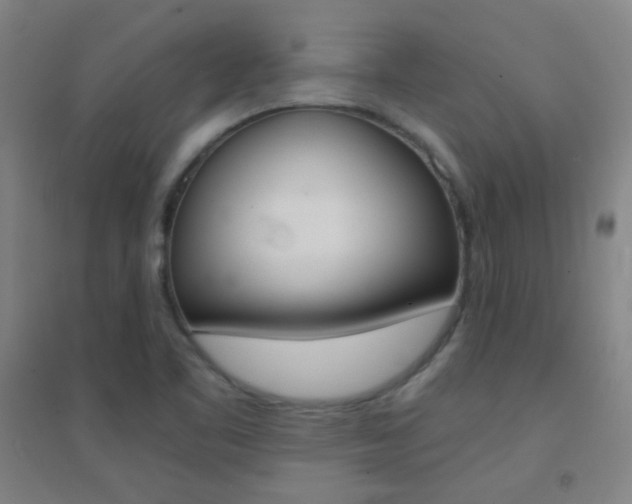 X0000095541461200712141013