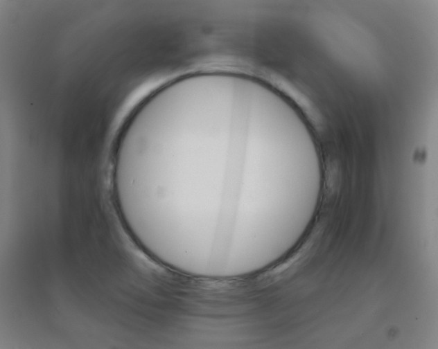 X0000095541462200712141013