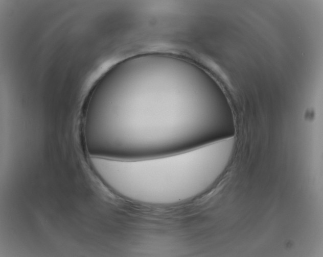 X0000095541463200712141013