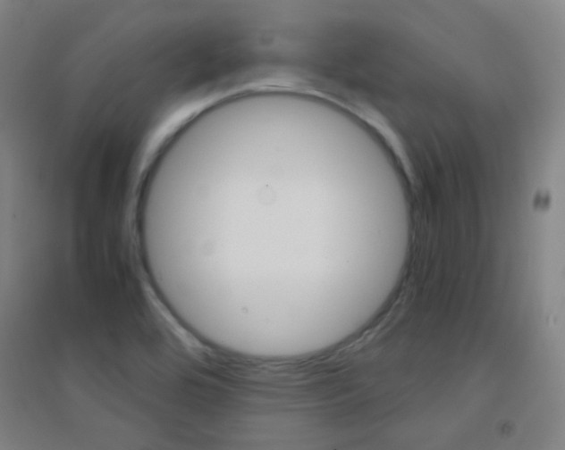 X0000095541464200712141013