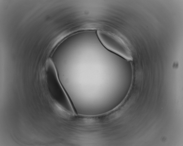 X0000095541465200712141013