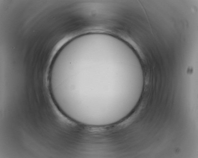 X0000095541466200712141013