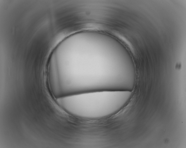 X0000095541467200712141013
