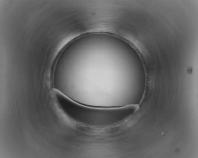 X0000095541468200712141013