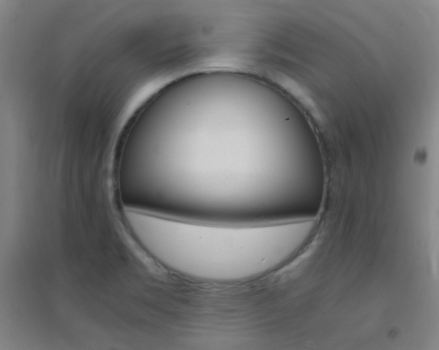 X0000095541469200712141013