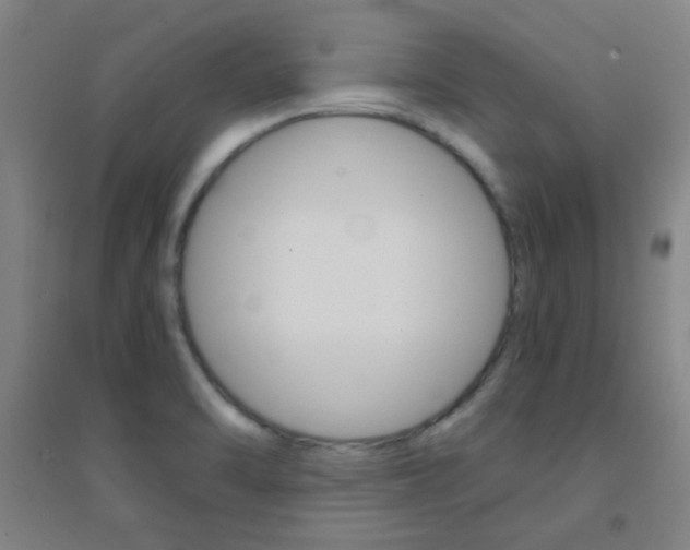 X0000095541470200712141013