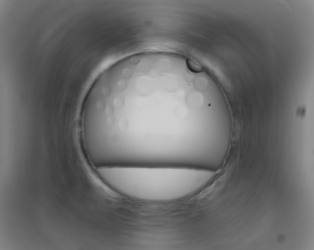 X0000095541471200712141013