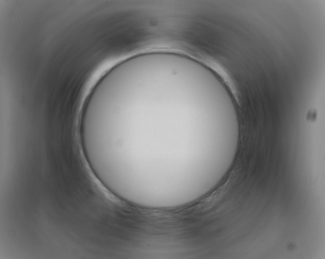 X0000095541472200712141013