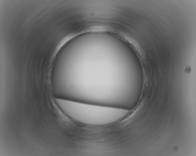 X0000095541473200712141013