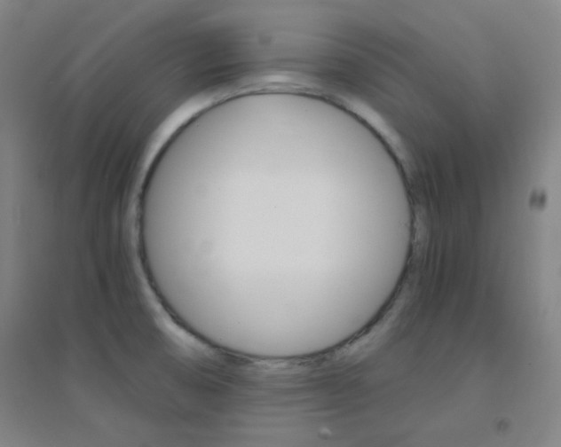 X0000095541474200712141012