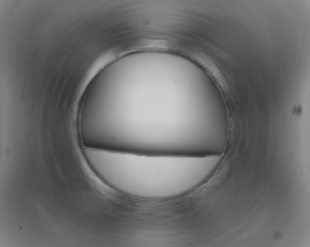 X0000095541475200712141012