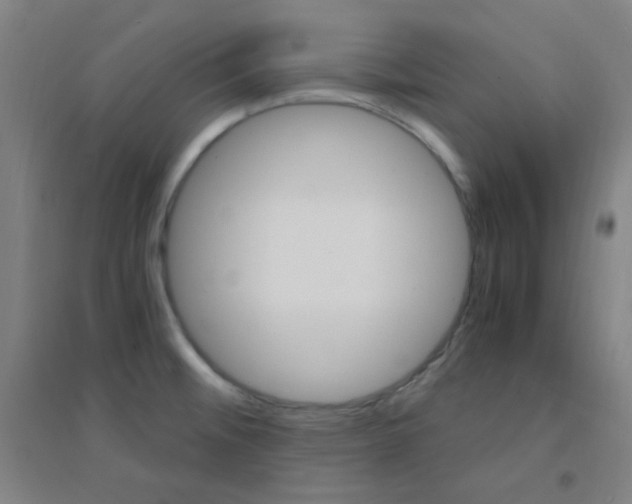 X0000095541476200712141012