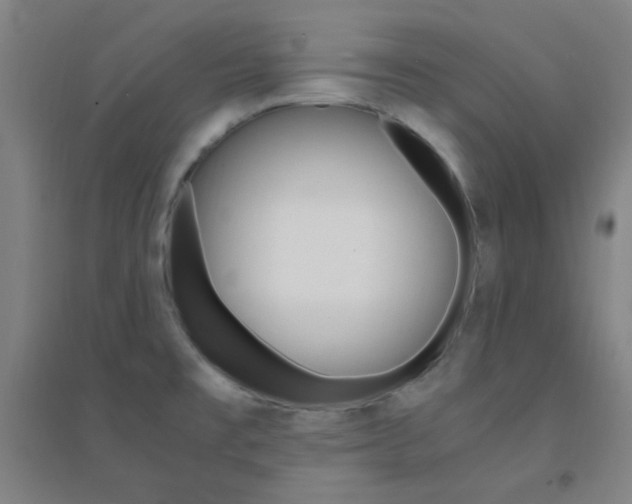 X0000095541477200712141012