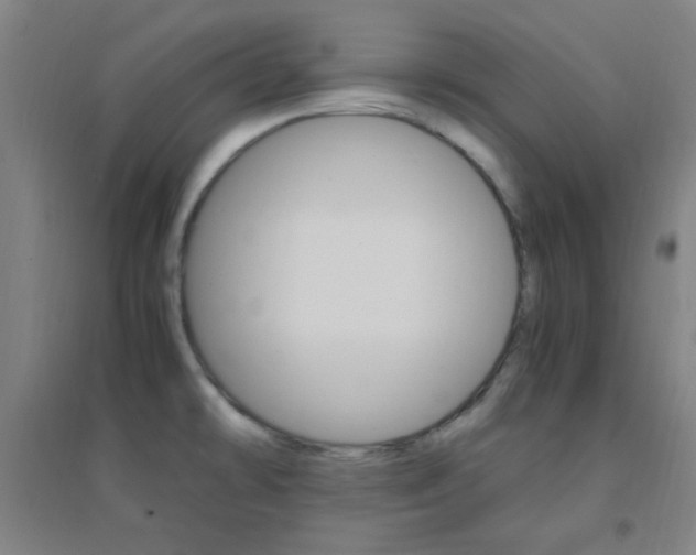 X0000095541478200712141012