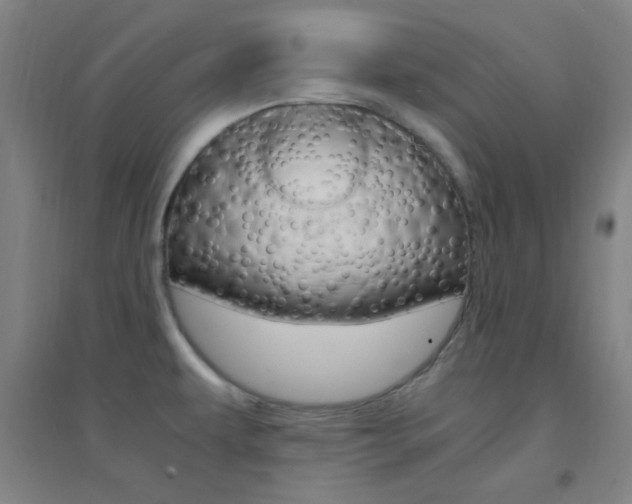 X0000095541479200712141012
