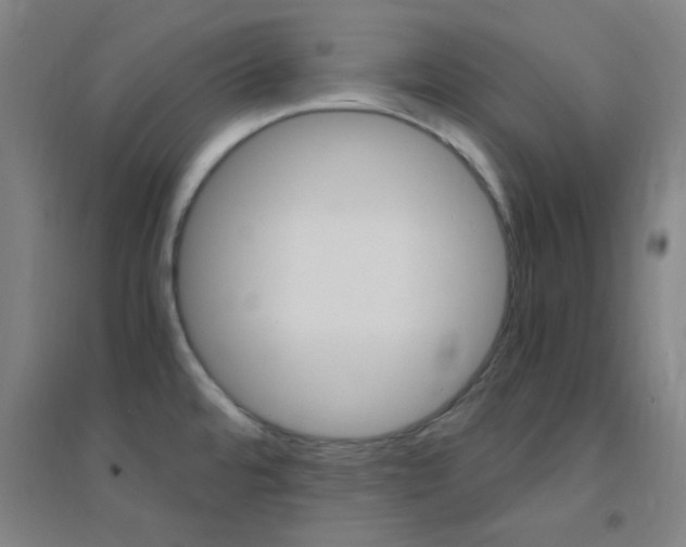 X0000095541480200712141012