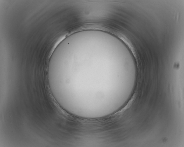 X0000095541481200712141012