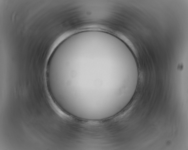 X0000095541482200712141012