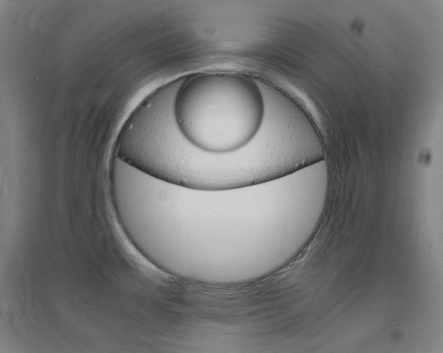 X0000095541483200712141012