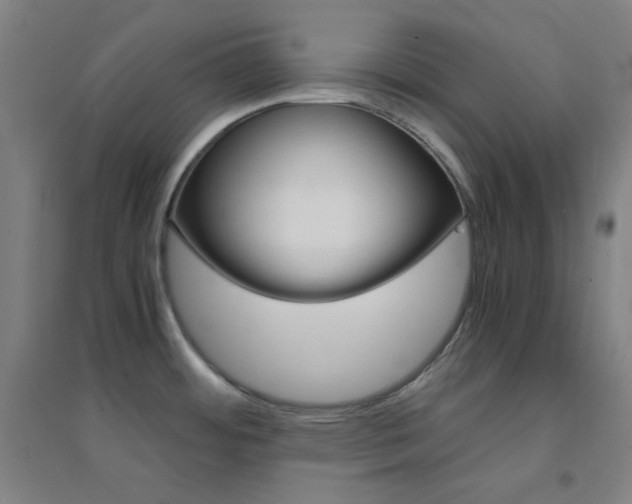 X0000095541484200712141012
