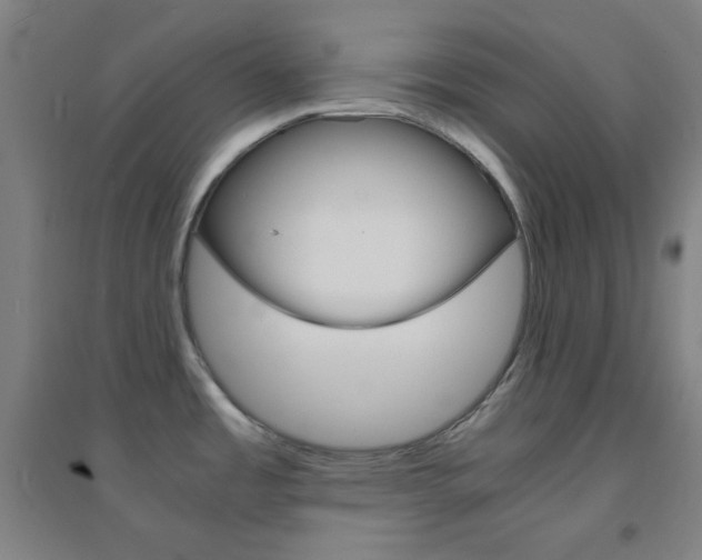 X0000095541485200712141012
