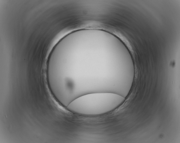 X0000095541486200712141012