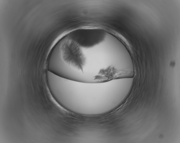 X0000095541487200712141012