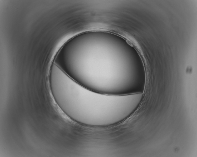 X0000095541488200712141012