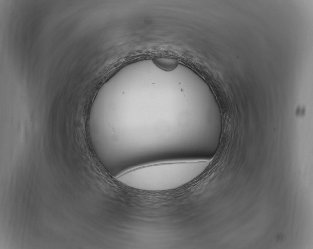 X0000095541489200712141012