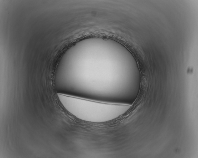 X0000095541490200712141012