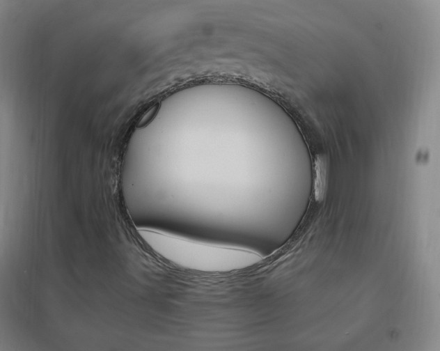X0000095541491200712141012