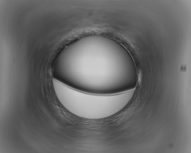 X0000095541492200712141012
