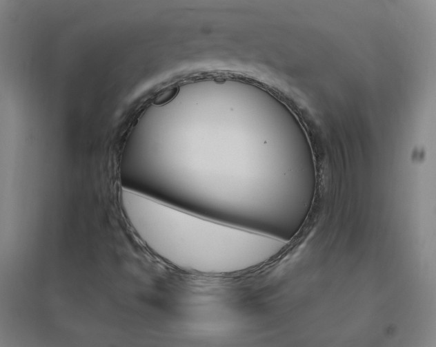 X0000095541494200712141012