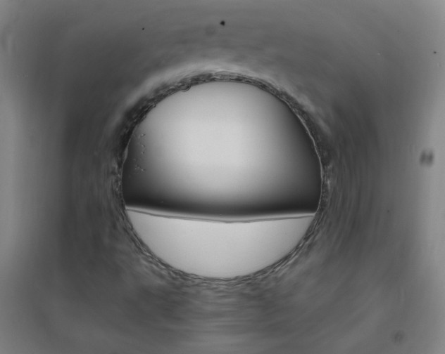 X0000095541495200712141012