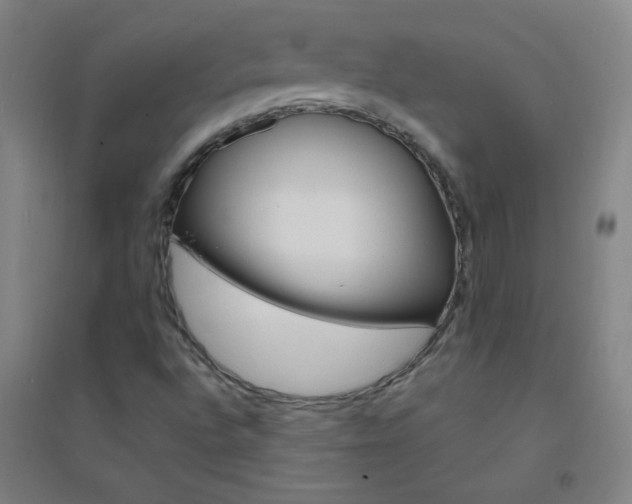 X0000095541496200712141012
