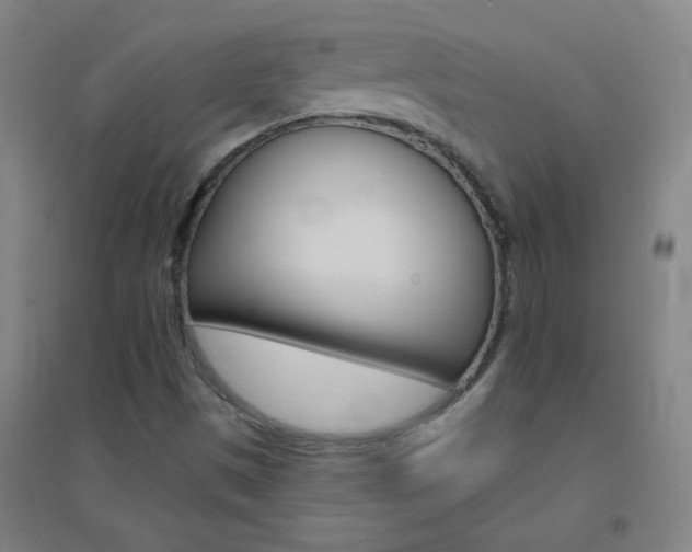 X0000095541497200712141012