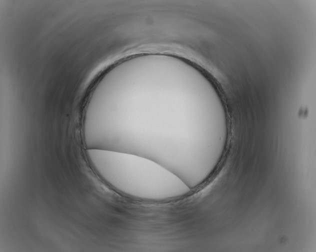 X0000095541498200712141012