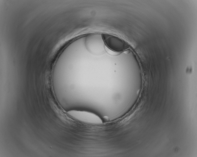 X0000095541499200712141012