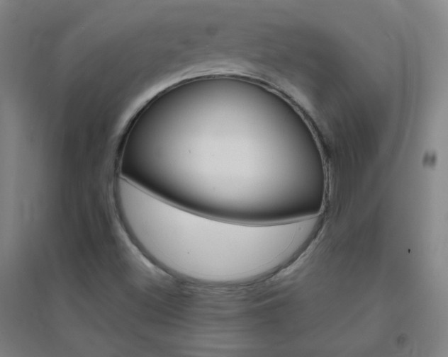 X0000095541500200712141012
