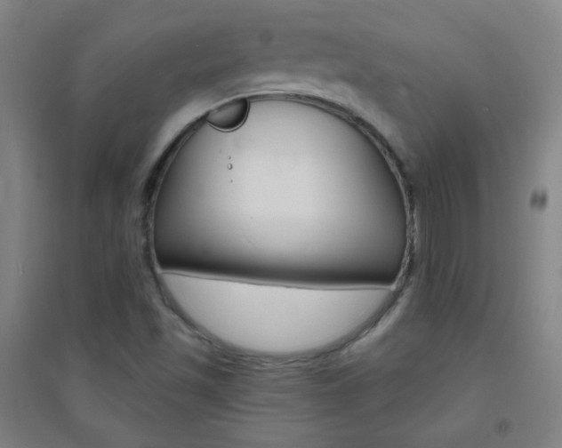 X0000095541501200712141012