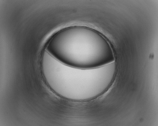 X0000095541502200712141012