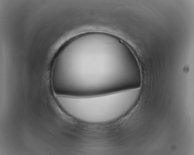 X0000095541503200712141012