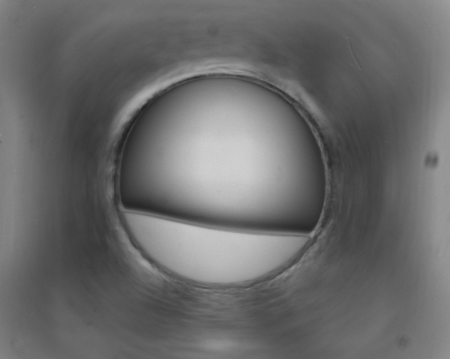X0000095541504200712141012