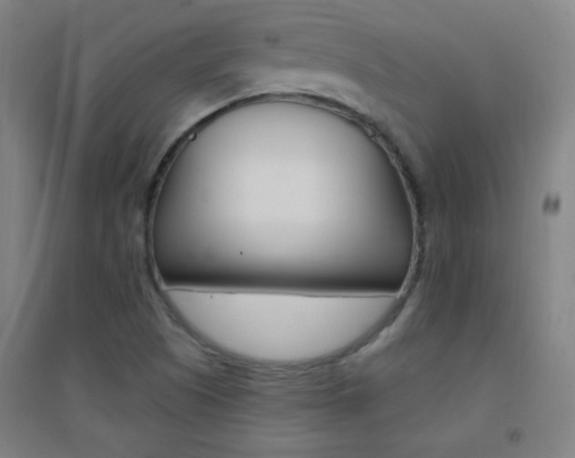 X0000095541505200712141012